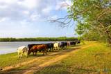 0 Old Seguin Luling Road - Photo 8