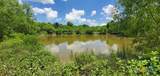 2224 Levee Road - Photo 22