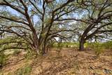 TBD County Road 207 - Photo 4