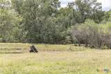 1276 County Road 216 - Photo 7