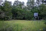 1698 County Road 327 - Photo 23