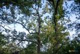 1698 County Road 327 - Photo 31