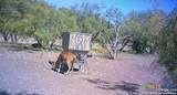 587 Valley Rd. - Photo 41