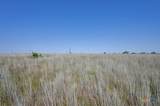 350 Private Road 6191 - Photo 10