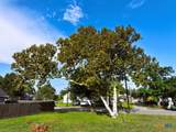 1177 State Highway 239 - Photo 5