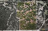 333 County Road 250A - Photo 7