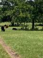 2029 County Road 200 - Photo 1