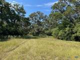 293 County Road 460 - Photo 12