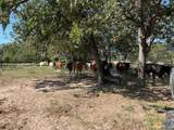 293 County Road 460 - Photo 14