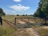293 County Road 460 - Photo 18