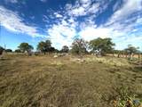 293 County Road 460 - Photo 3