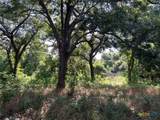 293 County Road 460 - Photo 8