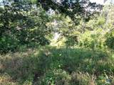 293 County Road 460 - Photo 9