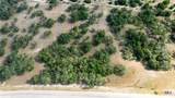 1014 Lipan Apache Run - Photo 10