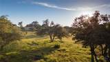 TBD 98.73 Acres Triple 3 Ranch - Photo 5