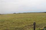 TBA County Road 417 - Photo 1