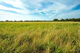 00 County Road 284 - Photo 18