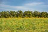 00 County Road 284 - Photo 19