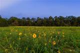 00 County Road 284 - Photo 5