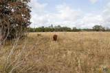 TBD Old Lockhart Rd - Photo 47