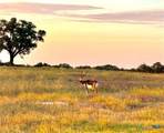 TBD Tract 11 Cattleman's Crossing Drive - Photo 8