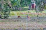 2698 County Road 284 - Photo 15