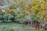 2698 County Road 284 - Photo 16