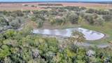 2698 County Road 284 - Photo 44