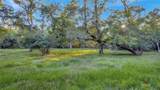 2698 County Road 284 - Photo 8