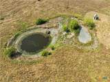 398 County Road 264 - Photo 4