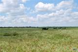 TBD County Road 15A - Photo 9
