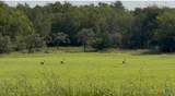 3927 County Road 3210 - Photo 5