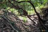 710 County Road 211A - Photo 10