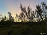 1059 Summit Bluff - Photo 11