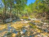 TBD-176 Acres Fm 116 Road - Photo 1