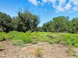 TBD-176 Acres Fm 116 Road - Photo 11