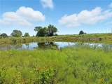 TBD-176 Acres Fm 116 Road - Photo 13