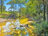 TBD-176 Acres Fm 116 Road - Photo 14