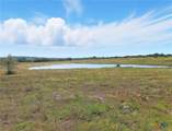 TBD-176 Acres Fm 116 Road - Photo 19