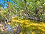 TBD-176 Acres Fm 116 Road - Photo 2