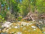 TBD-176 Acres Fm 116 Road - Photo 22