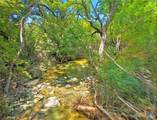 TBD-176 Acres Fm 116 Road - Photo 24