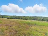 TBD-176 Acres Fm 116 Road - Photo 25