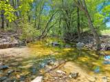 TBD-176 Acres Fm 116 Road - Photo 26