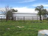 TBD-176 Acres Fm 116 Road - Photo 29