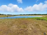 TBD-176 Acres Fm 116 Road - Photo 4