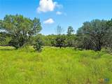 TBD-176 Acres Fm 116 Road - Photo 9