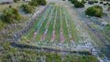 15049 Ranch Road 101 - Photo 15