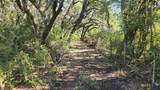 TBD County Road 326 - Photo 7