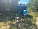 500 Colony Line Trail - Photo 40